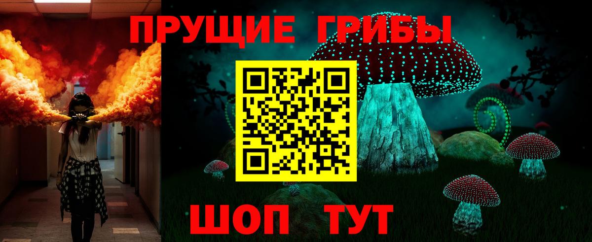 Знаменск  Псилоцибиновые грибы GOLDEN TEACHER  Вход с VPN  Галлюциногенные грибы GOLDEN TEACHER 